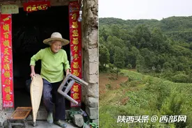 旬阳76岁奶奶独居深山 种十亩地养一头猪过平静生活图片