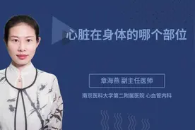 心脏在身体的哪个部位