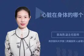心脏在身体的哪个部位