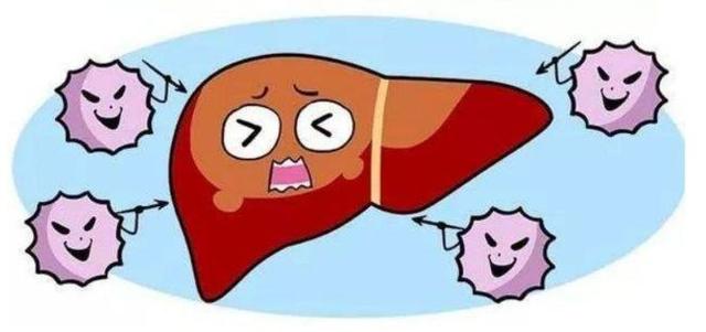 肝好命才好，抽烟喝酒每次吃几粒，100天还你“肝”净的肝脏