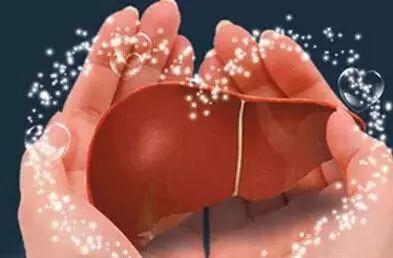 肝好命才好，抽烟喝酒每次吃几粒，100天还你“肝”净的肝脏