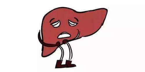 肝好命才好，抽烟喝酒每次吃几粒，100天还你“肝”净的肝脏