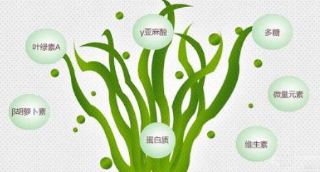 肝好命才好，抽烟喝酒每次吃几粒，100天还你“肝”净的肝脏