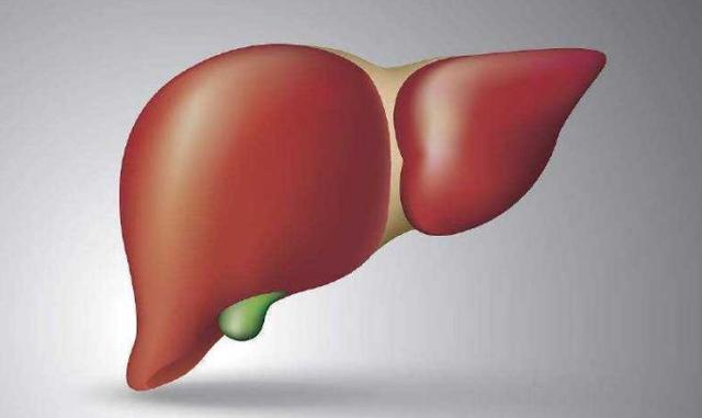 肝好命才好，抽烟喝酒每次吃几粒，100天还你“肝”净的肝脏