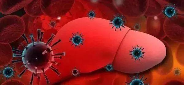 肝好命才好，抽烟喝酒每次吃几粒，100天还你“肝”净的肝脏