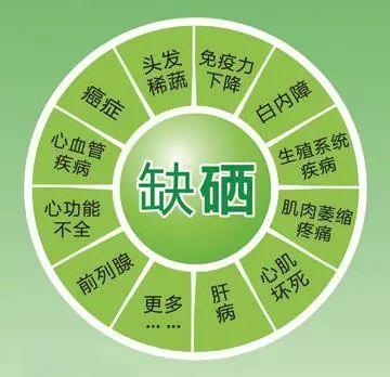 肝好命才好，抽烟喝酒每次吃几粒，100天还你“肝”净的肝脏