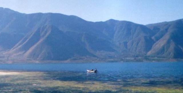 肝好命才好，抽烟喝酒每次吃几粒，100天还你“肝”净的肝脏