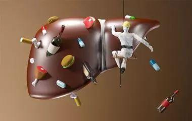 肝好命才好，抽烟喝酒每次吃几粒，100天还你“肝”净的肝脏