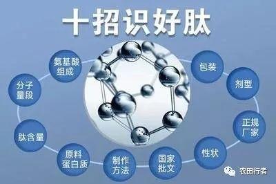 微肥钛与肽，有啥不一样？