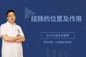 结肠的位置及作用