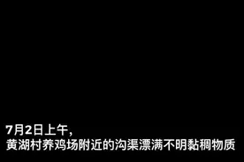 视频|污染水源，益阳一养鸡场被责令整改