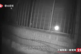 凌晨2点，独居女子听到诡异敲窗声！急忙报警：他好像从天上掉下来的图片