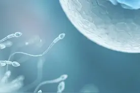 「荐读」最新研究：受精卵或非“生命起始”网友：求别改教材图片