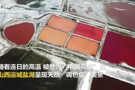 “中国死海”中没有生物吗？最长1厘米的丰年虾告诉你当然不是