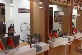 亚历山大中国签证申请服务中心开业视频封面