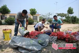 临沂：从滞销到疯抢，不到24小时5万斤桃全卖了图片