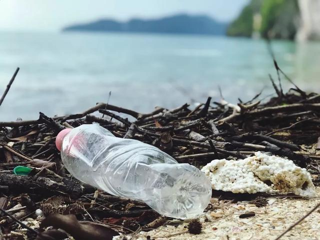 除了分清干垃圾和湿垃圾，我们还能做点什么？