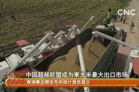 中国超越欧盟成为柬大米最大出口市场视频封面