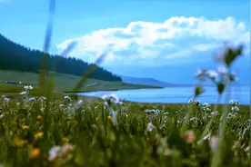 植被恢复 水质提升——赛里木湖“颜值”更高了视频封面