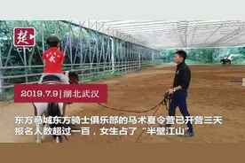 【视频】不花一分钱，暑假学好玩好？这是真的！视频封面