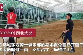 【视频】不花一分钱，暑假学好玩好？这是真的！视频封面