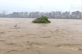 福建暴雨：多方联动 抢险救援视频封面