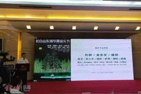 朴树、金志文、痛仰乐队……8月份长白山下有场音乐节图片