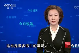 法律规定追诉期最高20年，杀人案20年后破案怎么办？教授给出解释视频封面