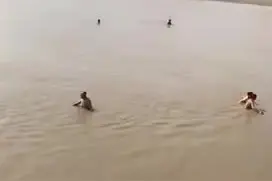 辽宁台安7名小学男生结伴下河游泳，6人溺亡已全部找到视频封面