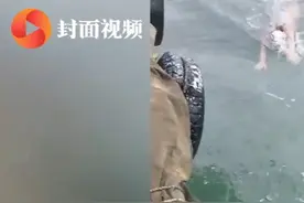硬核厨师10小时横渡琼州海峡 三次被水母攻击：想给孩子做榜样