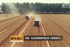 陕西：农业供给侧结构性改革  仍需继续深化视频封面