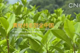 走进县区|浙江省湖州市安吉县：乡村振兴如火如荼