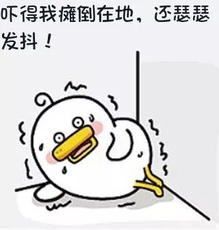 秘籍来了！内附晋江中考学霸笔记……