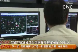 安徽19家企业成为国家首批专精特新“小巨人”视频封面