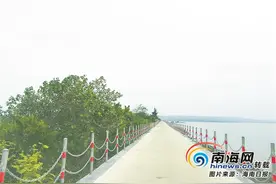 整治人居环境红榜 | 临高新盈镇和贵村：除陈年垃圾还乡村“美颜”图片
