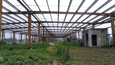 莲花味精生死局(2)