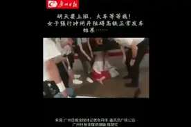 停检后女子强闯闸口，脚伸向站台和高铁缝隙阻挠发车视频封面