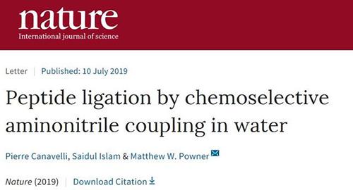 《Nature》突破传统，不用氨基酸，在水中合成多肽