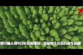 【我爱这片蓝色的国土】日照40年滨海播绿记：盐碱地上长出万亩生态林视频封面