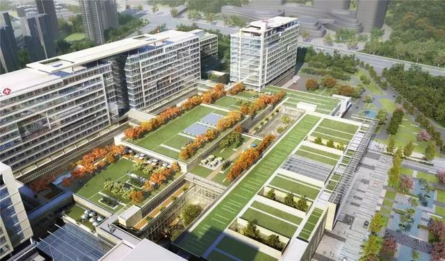 又一所国际学校落地! 成都天府国际生物城教育、公寓、医院最新进展盘点
