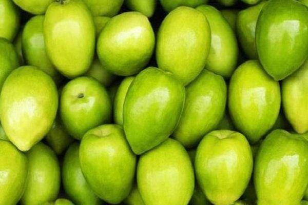 含钙铁锌的水果有哪些呢,7个月宝宝辅食吃这种水果,钙锌双补营养足