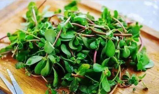 夏天必吃救命菜,清凉解毒,明目消炎,还不花一分钱