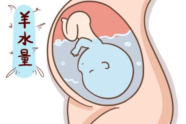 孕妈通常会在哪个月“显怀”？若显怀时间过早，大都由于这些因素