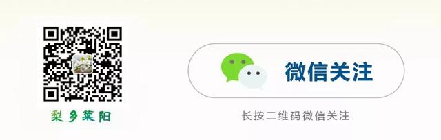 莱阳市气象局发布台风黄色预警！风雨降至，小心出行