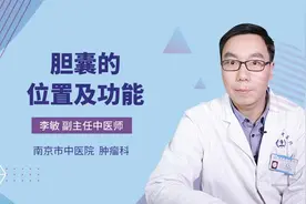 胆囊的位置及功能