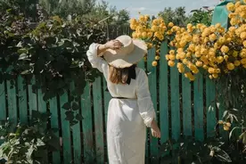 半桶水的故事（深度好文）图片