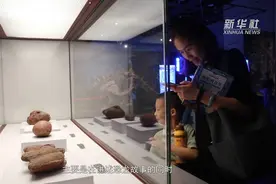 暑假来博物馆看“群龙出没” 探索恐龙奥秘视频封面