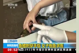 女子被鱼鳍刺穿手指后抱鱼求医，医生：做得对视频封面