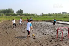 乡村研学游：带孩子们体验田间地头的快乐视频封面