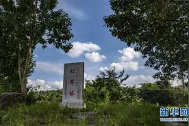 龙云“献”图：“助力”巧渡金沙江图片